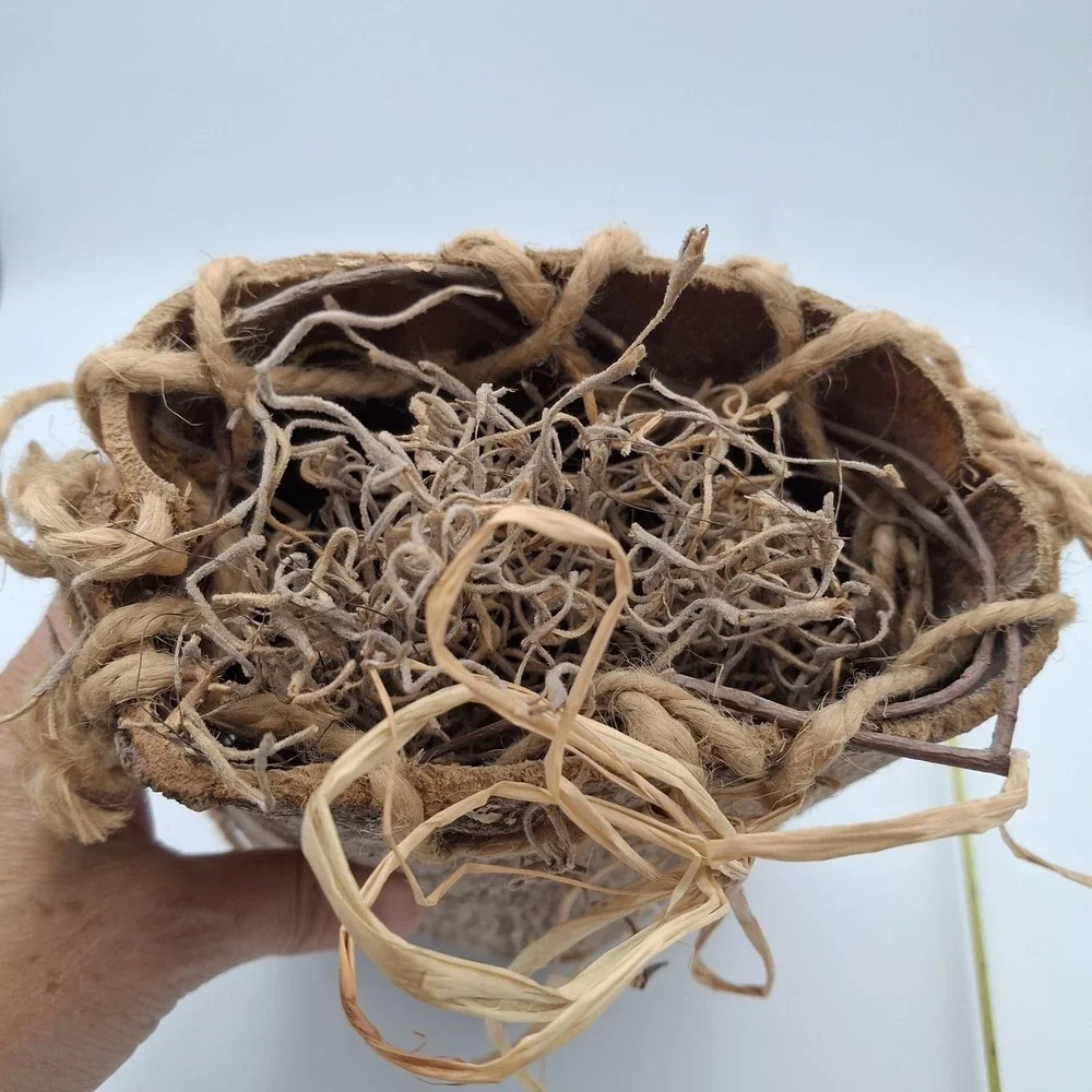 Vintage Wood‎ Bark Berry Basket (Appalachian?) Rustic Cabin Woods Decor Twigs 9